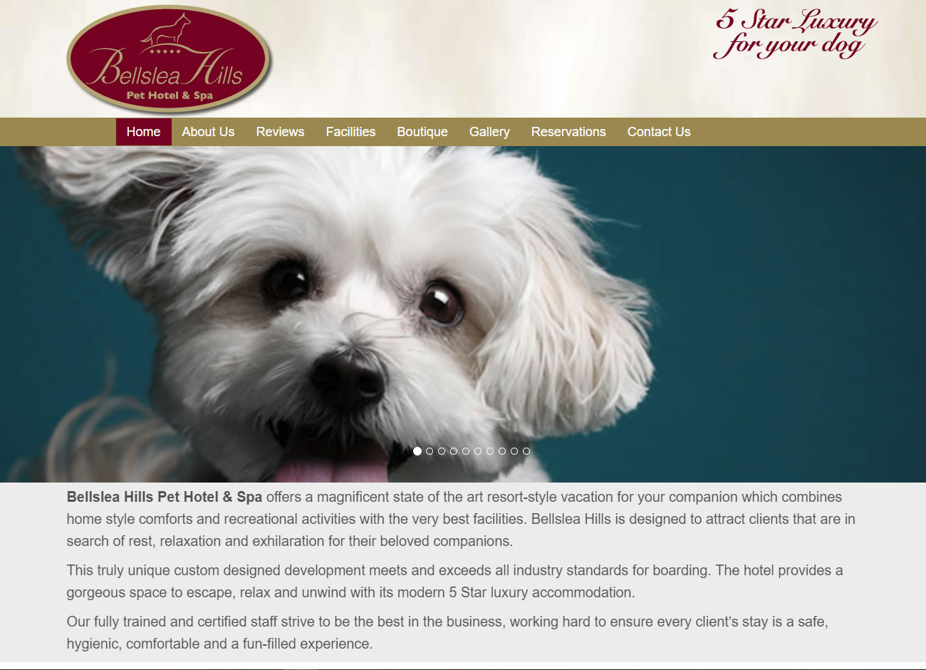 Bellslea Hills Pet Hotel & Spa - Website Design Ayrshire